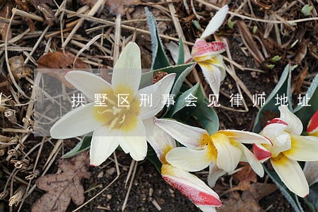 拱墅区刑事会见律师地址 拱墅区刑事会见律师地址