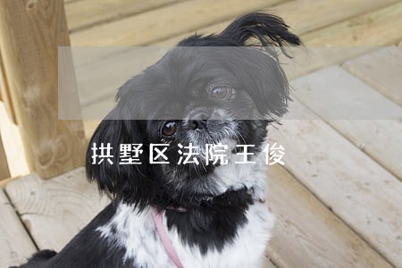 拱墅区法院王俊