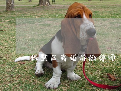 拱墅区离婚诉讼律师 拱墅区离婚诉讼律师
