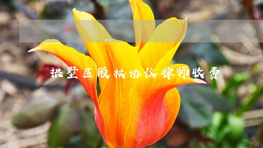 拱墅区股权协议律师收费 拱墅区股权协议律师收费