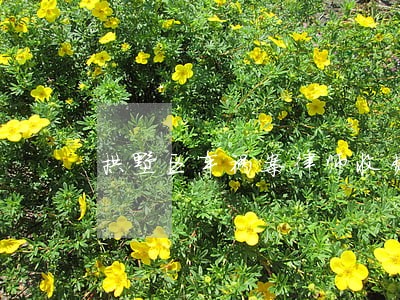 拱墅区车祸案律师收费 拱墅区车祸案律师收费