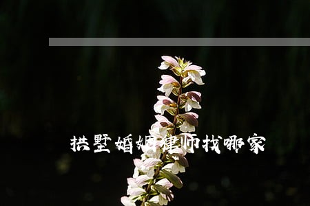 拱墅婚姻律师找哪家 拱墅婚姻律师找哪家