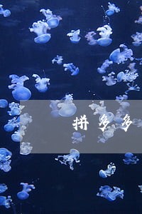 拼多多上面的信用卡逾期
