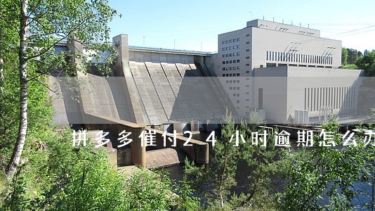 拼多多催付24小时逾期怎么办 拼多多催付24小时逾期怎么办
