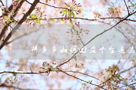 拼多多如何回应平台违法商品事件 拼多多如何回应平台违法商品事件
