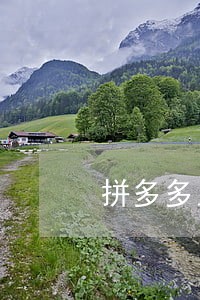 拼多多显示10时逾期意思 拼多多显示10时逾期意思