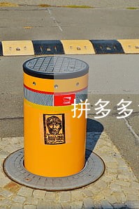 拼多多集团诉讼情况 拼多多集团诉讼情况
