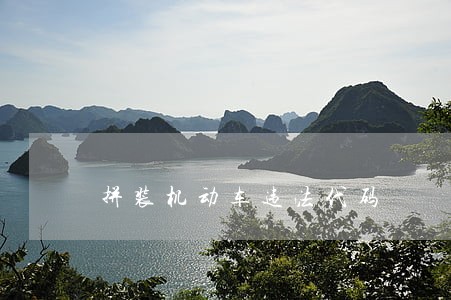 拼装机动车违法代码 拼装机动车违法代码