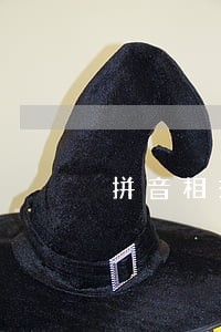 拼音相关法规和规范