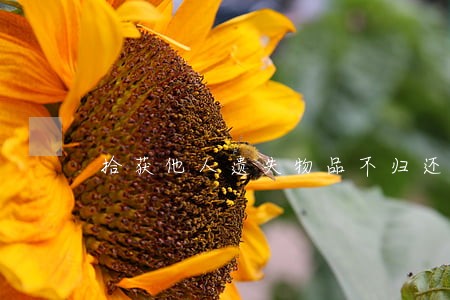 拾获他人遗失物品不归还违法吗 拾获他人遗失物品不归还违法吗
