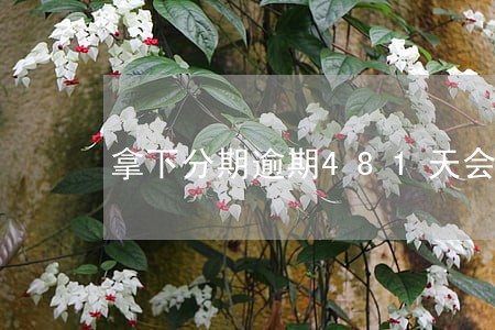 拿下分期逾期481天会怎么样 拿下分期逾期481天会怎么样