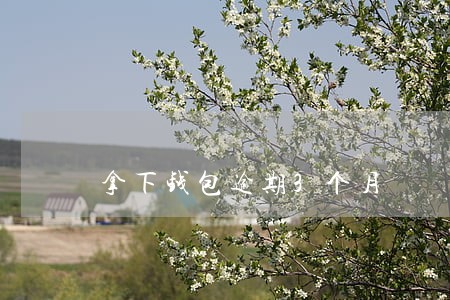 拿下钱包逾期3个月 拿下钱包逾期3个月