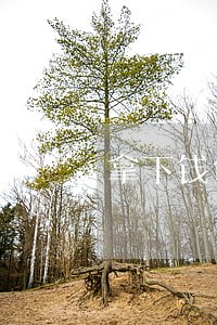 拿下钱包逾期4天 拿下钱包逾期4天