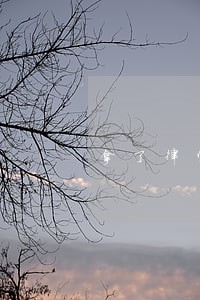 拿了律师证可以暂停执业吗 拿了律师证可以暂停执业吗