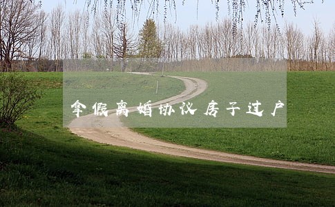 拿假离婚协议房子过户 拿假离婚协议房子过户