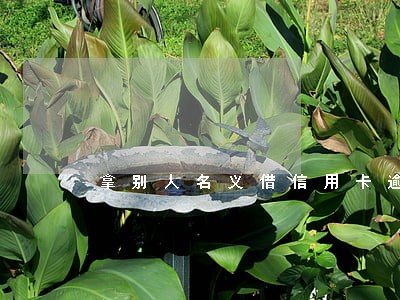 拿别人名义借信用卡逾期会犯法吗 拿别人名义借信用卡逾期会犯法吗