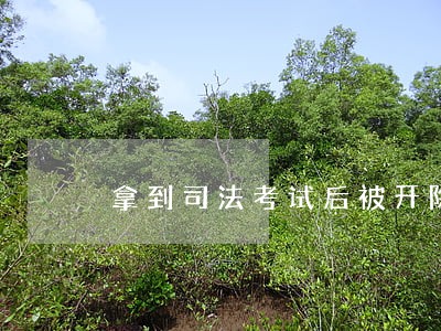 拿到司法考试后被开除公职 拿到司法考试后被开除公职