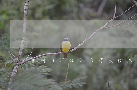 拿到律师证之后可以改名吗 拿到律师证之后可以改名吗