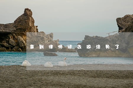 拿到律师证去做法务了 拿到律师证去做法务了