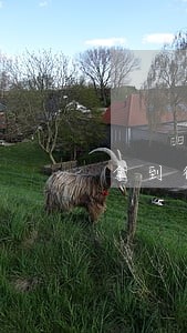 拿到律师证后能否转所 拿到律师证后能否转所