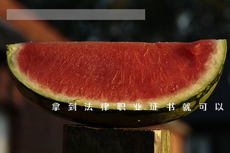 拿到法律职业证书就可以做律师吗 拿到法律职业证书就可以做律师吗