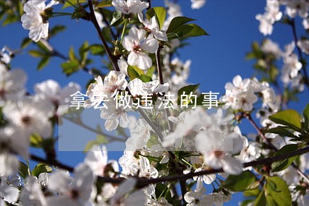 拿去做违法的事 拿去做违法的事