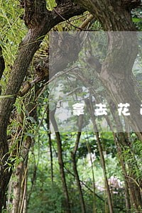 拿去花逾期后信用多久恢复 拿去花逾期后信用多久恢复