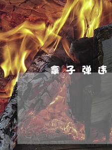 拿子弹违法吗