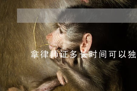 拿律师证多长时间可以独立办案 拿律师证多长时间可以独立办案