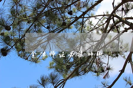 拿律师证必须辞职 拿律师证必须辞职