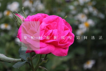拿枪对着解放军如何违法吗 拿枪对着解放军如何违法吗