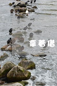 拿着借条去法院起诉胜率是多少