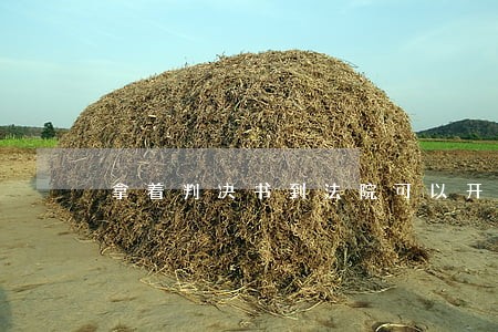 拿着判决书到法院可以开吗 拿着判决书到法院可以开吗