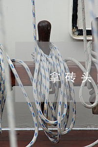 拿砖头向人群砸去违法