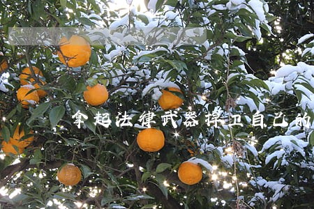 拿起法律武器捍卫自己的钱包 拿起法律武器捍卫自己的钱包
