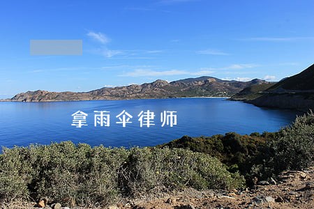 拿雨伞律师