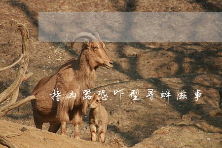 持凶器恐吓型寻衅滋事 持凶器恐吓型寻衅滋事