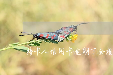 持卡人信用卡逾期了会想什么 持卡人信用卡逾期了会想什么