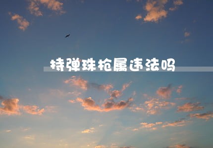 持弹珠枪属违法吗 持弹珠枪属违法吗