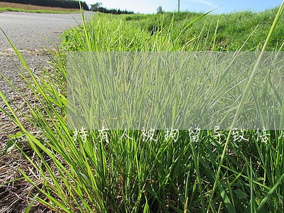持有人被拘留导致信用卡逾期 持有人被拘留导致信用卡逾期