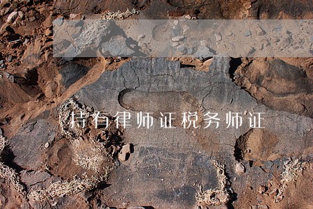 持有律师证税务师证 持有律师证税务师证