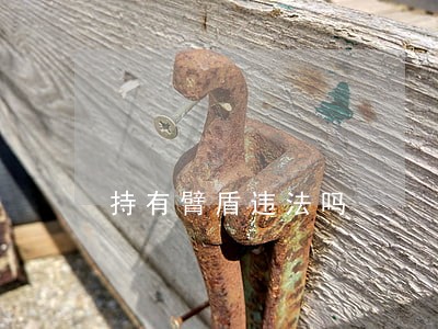 持有臂盾违法吗 持有臂盾违法吗