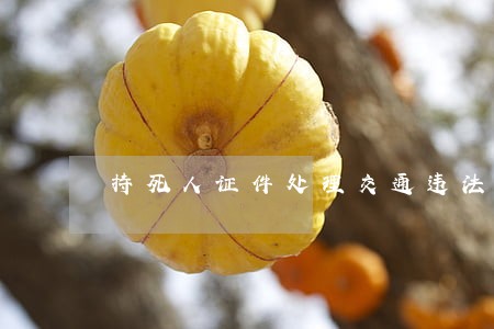 持死人证件处理交通违法 持死人证件处理交通违法