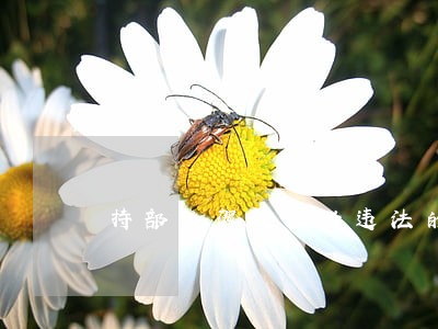 持部队驾驶证的违法的处罚 持部队驾驶证的违法的处罚
