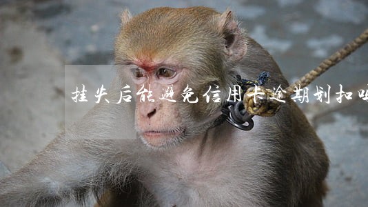 挂失后能避免信用卡逾期划扣吗 挂失后能避免信用卡逾期划扣吗