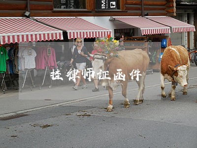 挂律师证函件 挂律师证函件