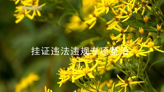 挂证违法违规专项整治 挂证违法违规专项整治