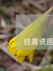 挂靠资质投标保证金返还诉讼 挂靠资质投标保证金返还诉讼