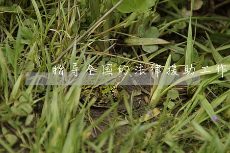 指导全国的法律援助工作 指导全国的法律援助工作