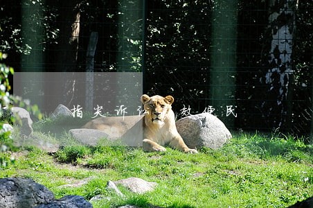 指尖诉讼高效便民 指尖诉讼高效便民